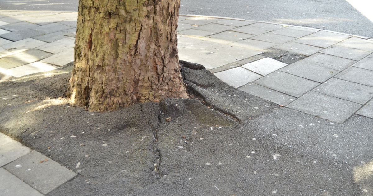 Broken Bones, Lost Paychecks: How New York Sidewalk Conditions Affect Personal Injury Claims